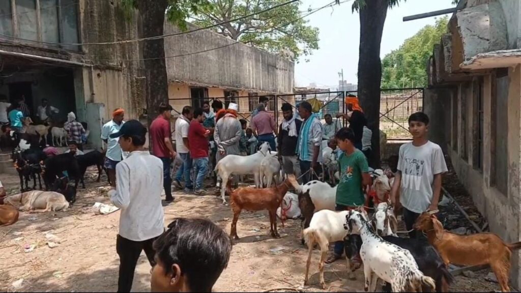 बकरा मंडी में आए खरीदार।