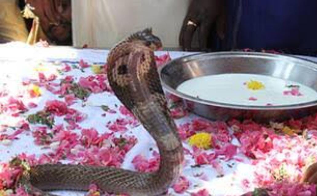 क्यो साल में सिर्फ एक बार खुलता है उज्जैन का नागचंद्रेश्वर मंदिर
