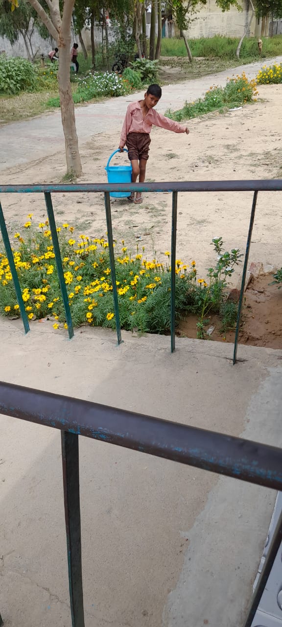 पढ़ाई के बजाए बच्चों से कराया जा रहा है काम