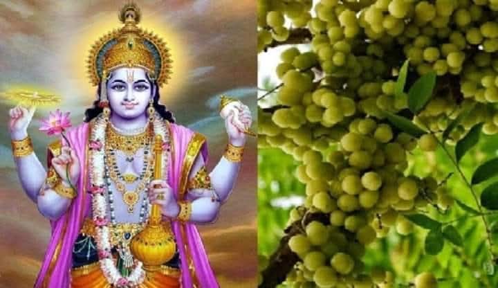 आज मनाई जा रही अक्षय नवमी, जाने क्या है होता है महत्व